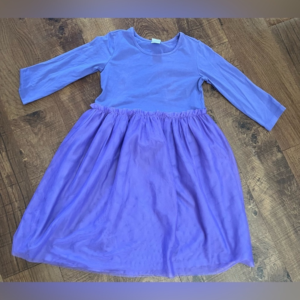 Hanna Andersson Lavender/Purple Long Sleeve Tulle Dress